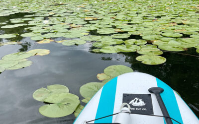 Paddleboarding